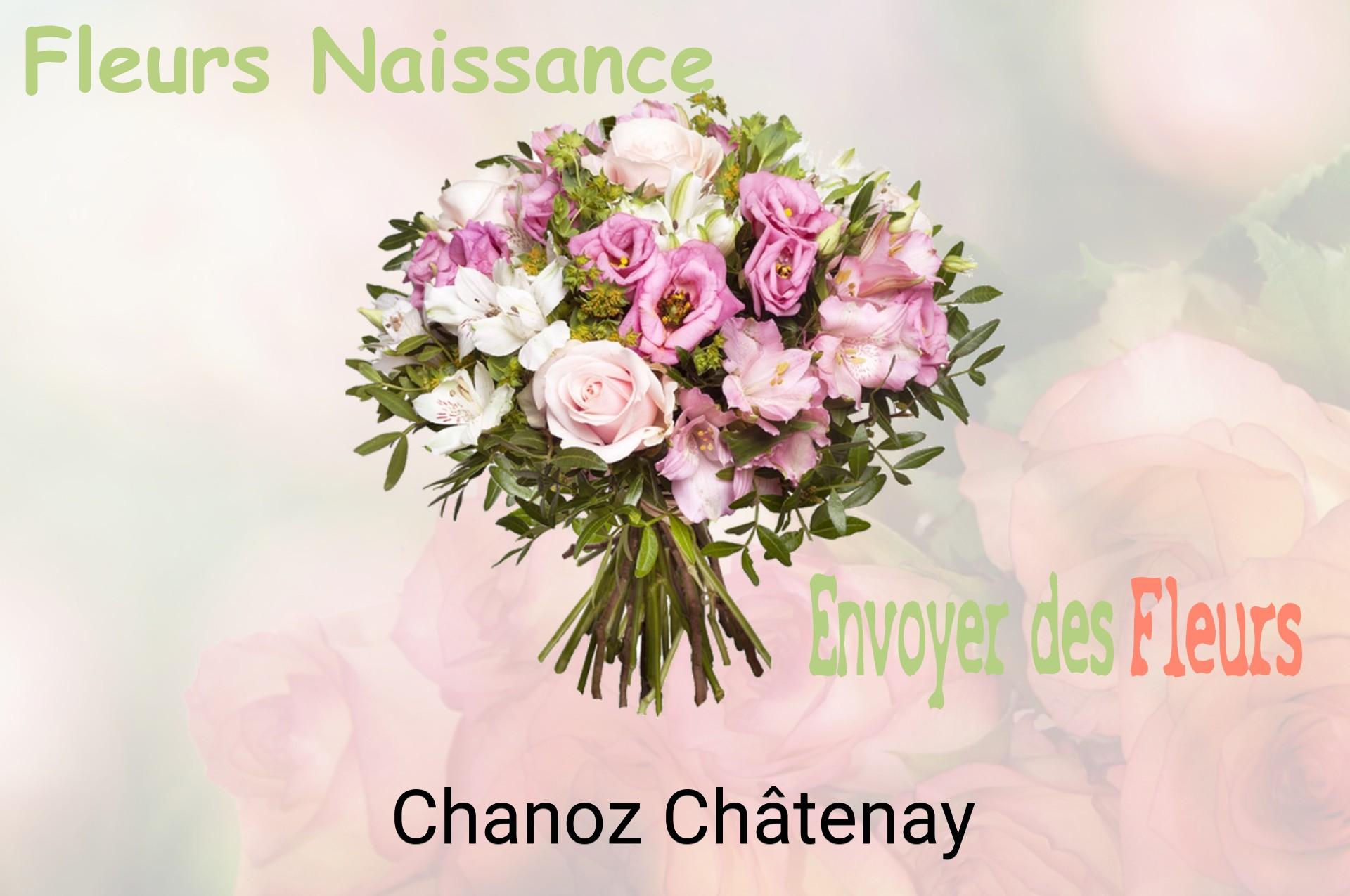 Bouquet de fleurs de naissance livré à Chanoz-Châtenay