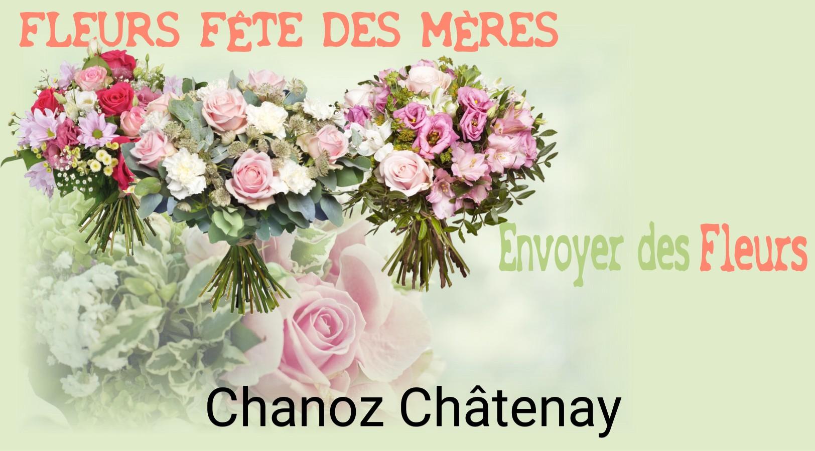 Bouquet de Fête des Mères livré à Chanoz-Châtenay