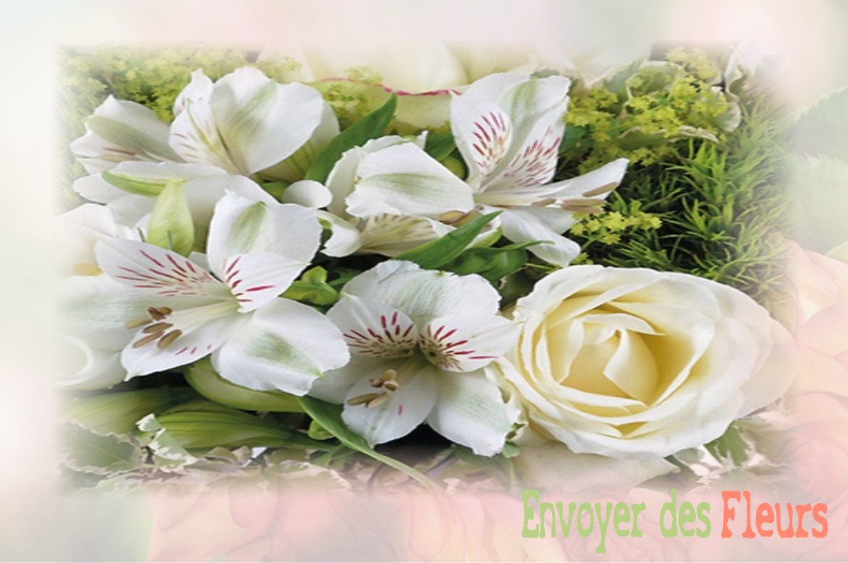 envoyer des fleurs à à CHANOZ-CHATENAY